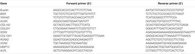 TEMPO-Oxidized Cellulose Nanofiber-Alginate Hydrogel as a Bioink for Human Meniscus Tissue Engineering